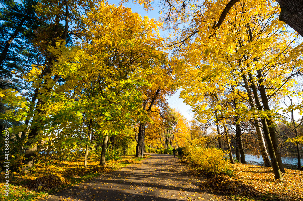 View of city park in autumn