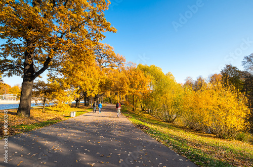 View of city park in autumn © gumbao