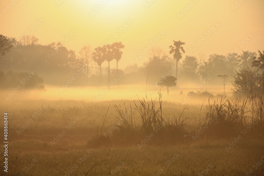Natural view , sunshine to fog over famer field, Fresh air good environment in the morning of upcountry ,Thailand
