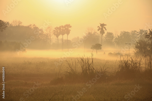 Natural view , sunshine to fog over famer field, Fresh air good environment in the morning of upcountry ,Thailand