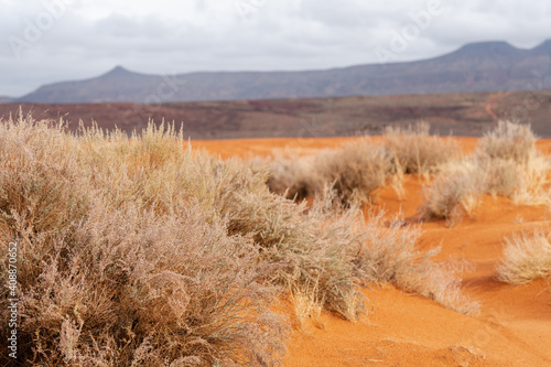 Fototapeta Naklejka Na Ścianę i Meble -  Red sand desert landscape in Utah during winter