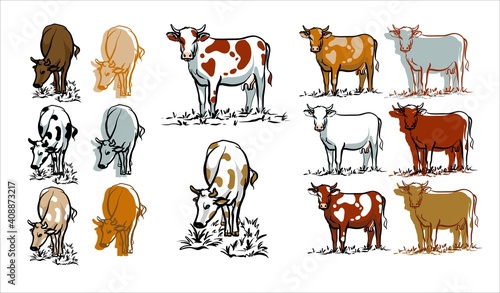 A set of cows. Color illustration of icons logos. Vector.