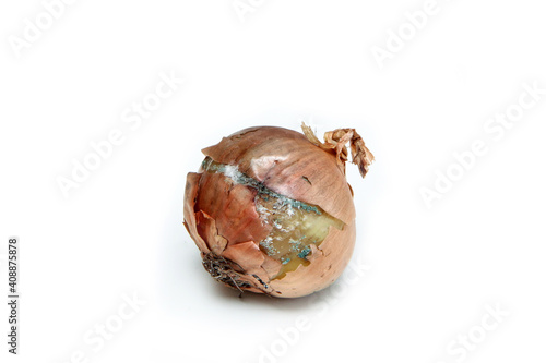 Фотография The picture of a mouldy onion because of the wrong storage in hdpe sack