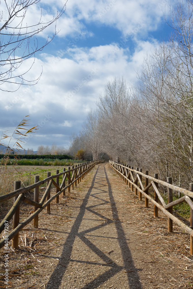 Walking trail through natural woodland in Catalonia, Spain Walking trail through natural woodland in Catalonia, Spain
