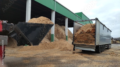 Alternative fuel, ecological fuel, biofuel Wood sawdust, sawdust close-up background. Sawdust texture