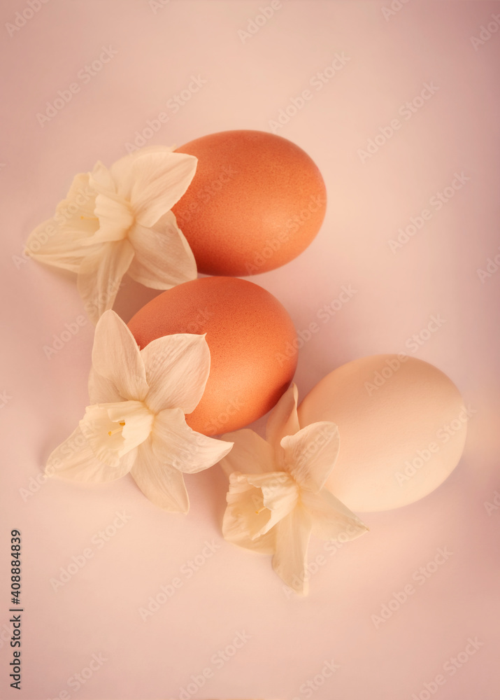 Eggs. Eggs with spring white flowers