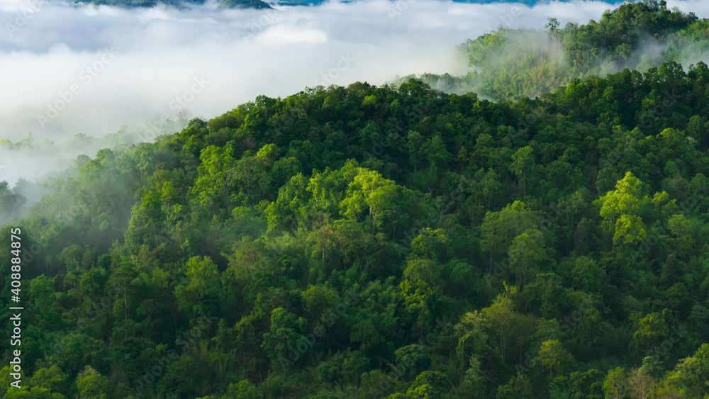Time lapse video 4k, Aerial view Beautiful of morning scenery Golden light sunrise And the mist flows on high mountains Time lapse video 4k, Aerial view Beautiful of morning scenery Golden light sunrise And the mist flows on high mountains