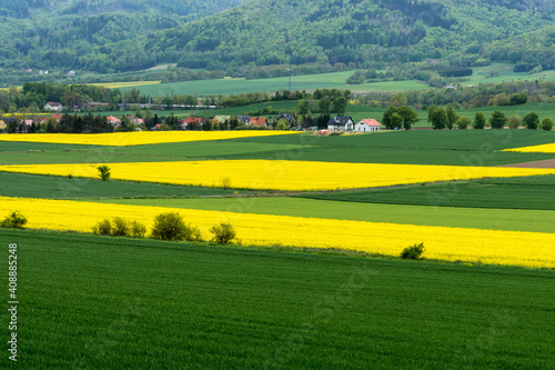 zielone i żółte (rzepak) pola uprawne na pierwszym planie, w tle góry