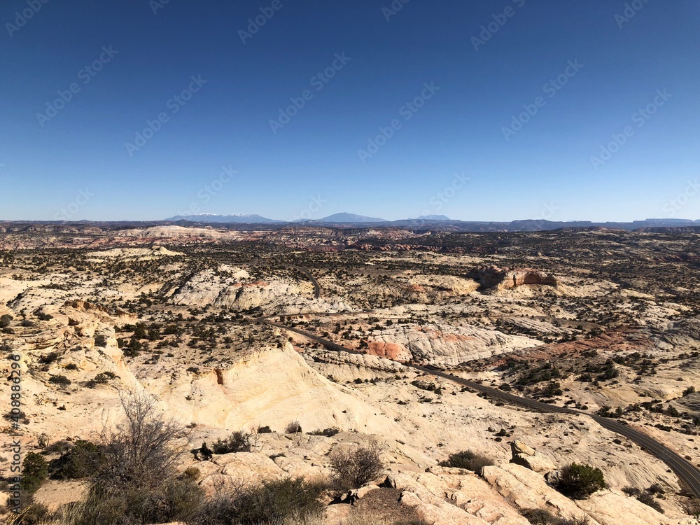 Fototapeta premium Road in the wildness