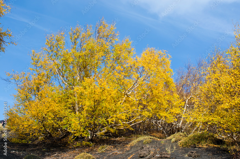 Fototapeta premium Etna