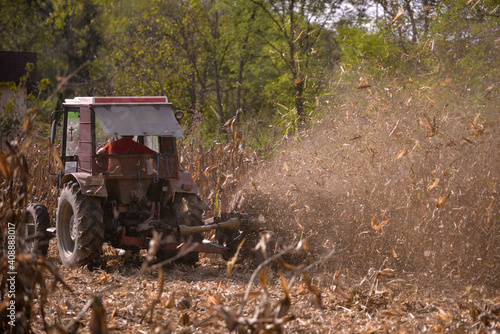 an old red tractor chopping corn in the field. mechanized agriculture in the village. maize cutter
