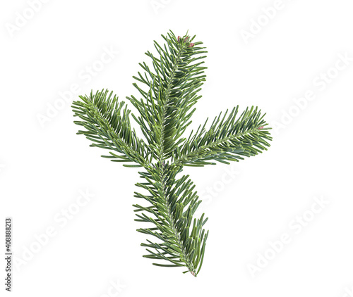 Fir branch isolated on white background. Christmas tree, pine, winter.
