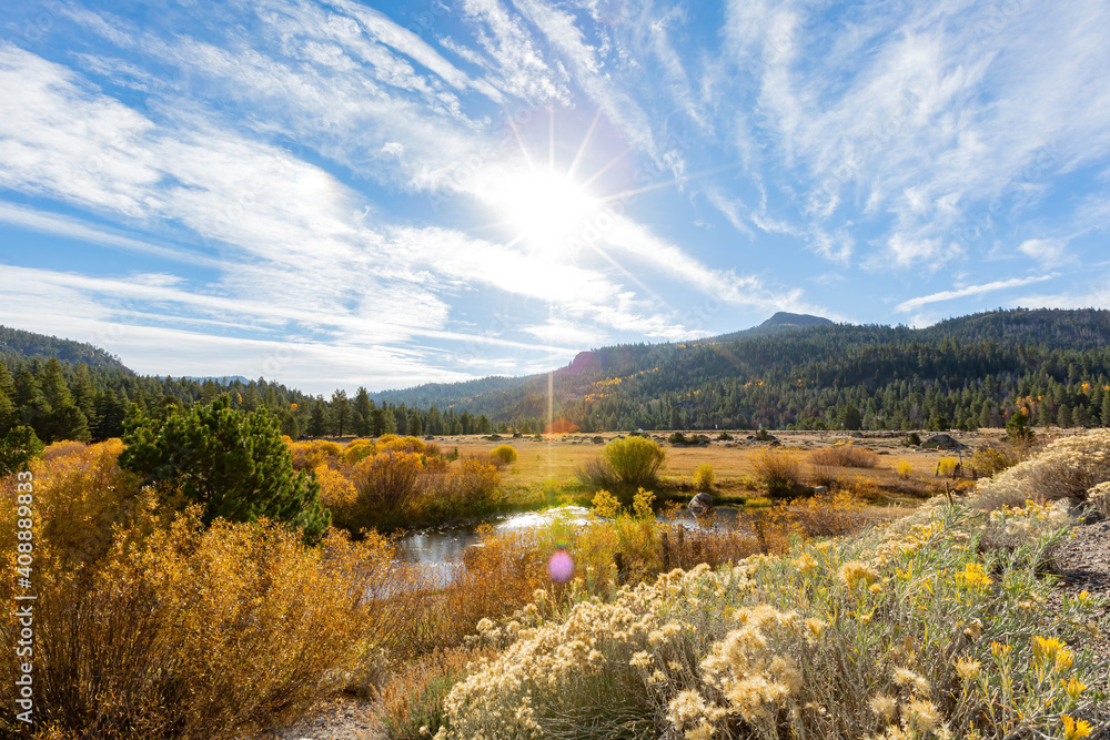Fototapeta premium Sunny view with beautiful fall color along the Hope Valley in Lake Tahoe area