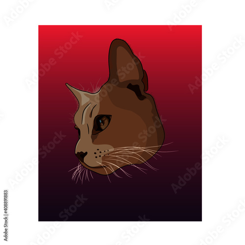 Desert Cat