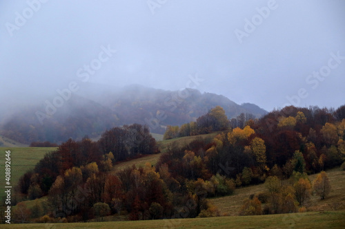 Autumn forest in the fog, view from Wyzna Pass, Bieszczady National Park, Poland photo