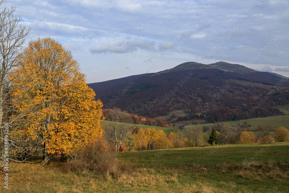 Autumn in Bieszczady National Park, sunset near Wyzna Pass, Poland