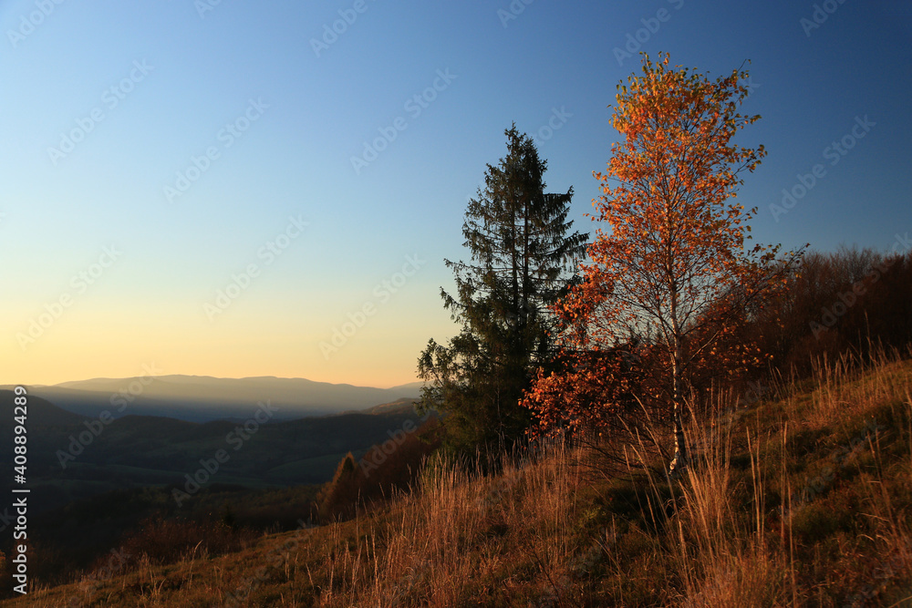 Obraz premium Autumn in Bieszczady National Park, sunset near Wyzna Pass, Poland