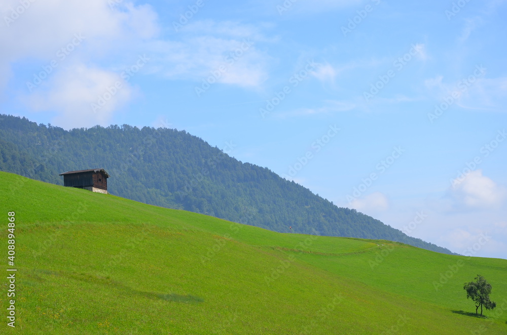 landscape green montain