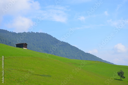 landscape green montain