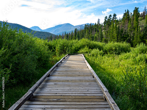 Boardwalk path through forest in Colorado