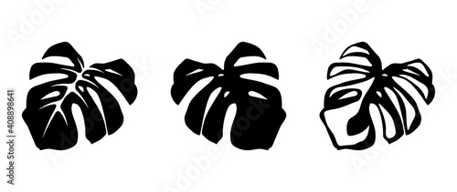 Set of black silhouettes of tropical monstera leaves isolated on a white background. Vector illustration.
