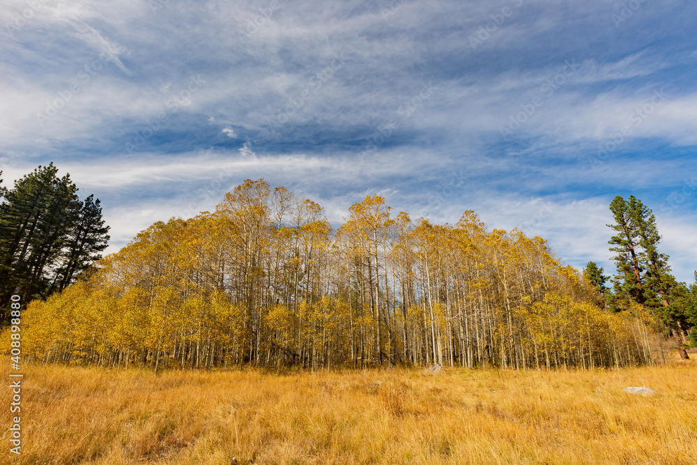 Sunny view with beautiful fall color along the Hope Valley in Lake Tahoe area Sunny view with beautiful fall color along the Hope Valley in Lake Tahoe area