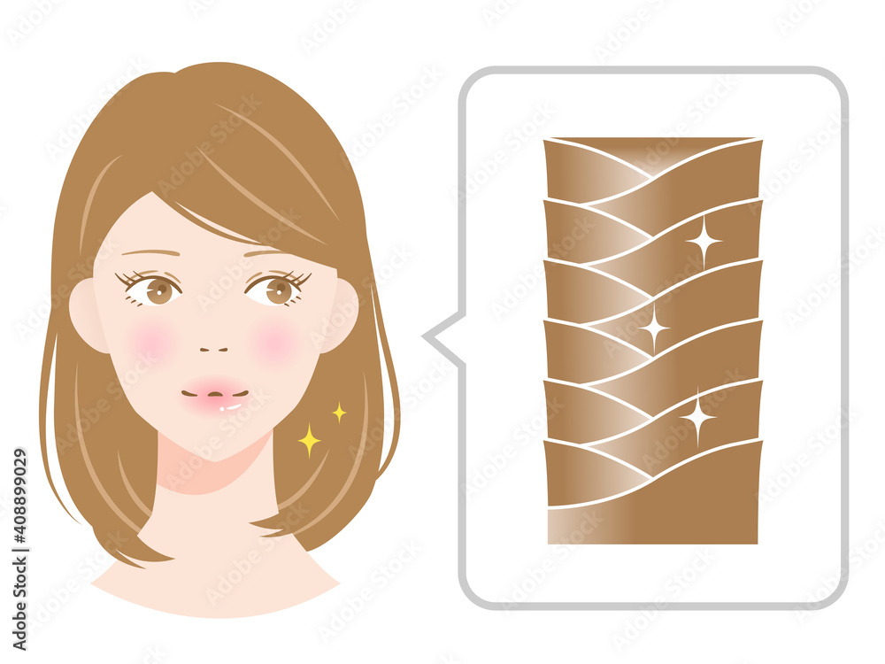 healthy hair cuticles and beautiful woman illustration. healthy hair sheen  is keeping hair cuticles closed and smooth. hair care and beauty concept  Stock Vector | Adobe Stock