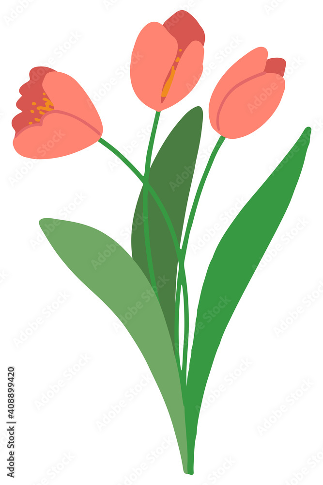 Spring flower isolated on white background. Hand drawn vector illustration. Colored cartoon doodle. Single drawing of bouquet of tulips. Element for design, print, sticker, postcard, decoration, wrap.