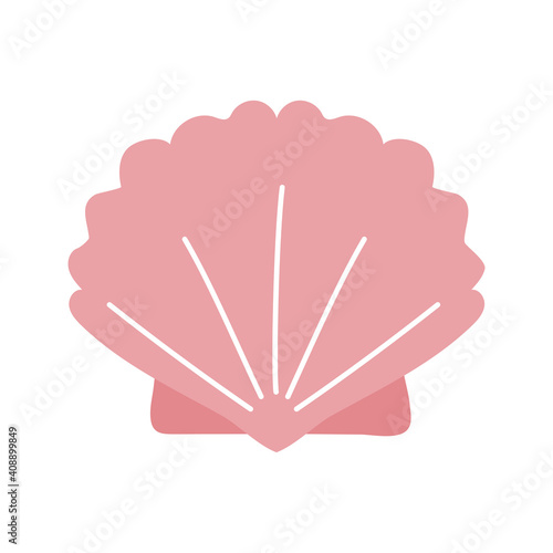 shell with a pink color