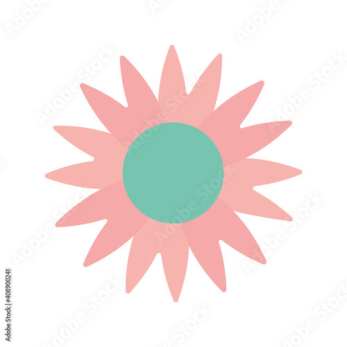 sunflower with a pink color on a white background