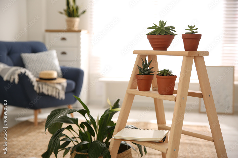 Stylish living room interior with wooden ladder and houseplants. Space for text