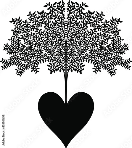 Photography Tree of Life Hand Drawn Design Vector