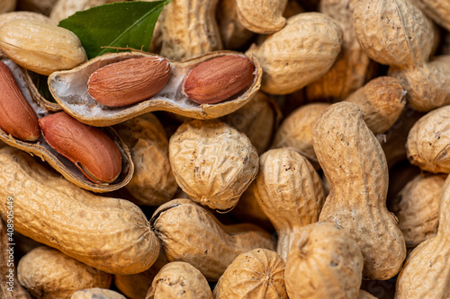 Wallpaper Mural a lot of peanuts almost all closed and a few open and green leaf Torontodigital.ca