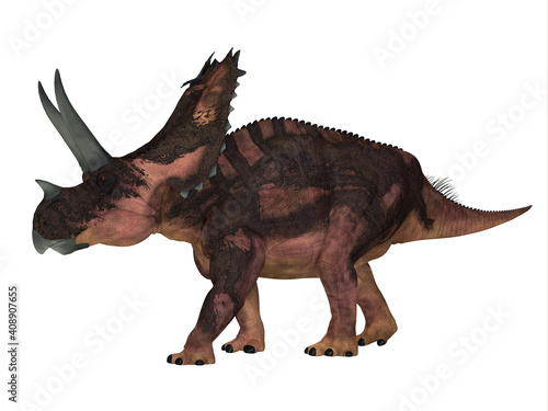 Agujaceratops Side Profile - The Ceratopsian herbivorous dinosaur Agujaceratops lived in Texas, USA during the Cretaceous Period. © Catmando