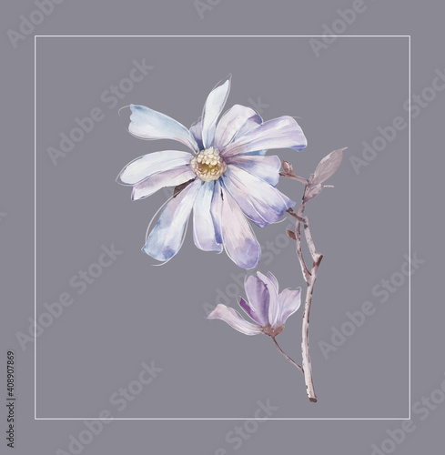 Flowers watercolor illustration.Manual composition.Big Set watercolor elements，Design for textile, wallpapers，Element for design,Greeting card