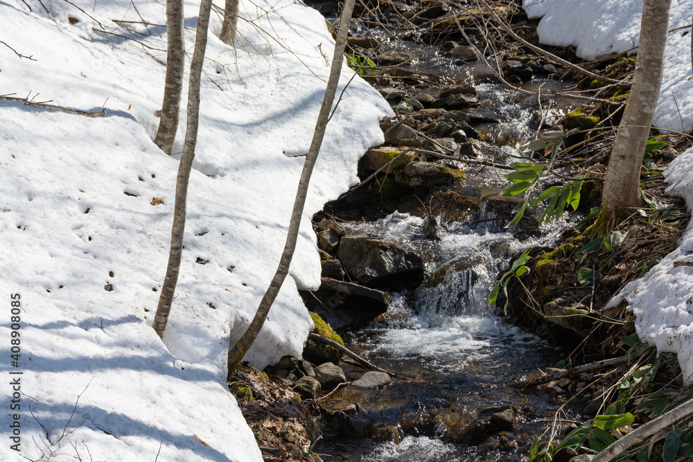 雪が溶け始めた山奥の小川stock Photo Adobe Stock