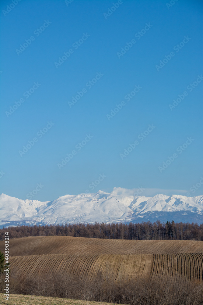 Fototapeta premium 春の丘陵地帯と雪山 十勝岳