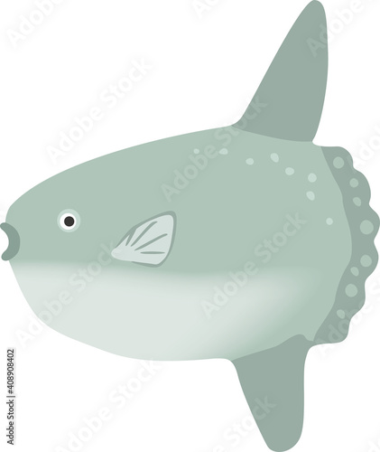 泳いでいるマンボウのイメージイラスト