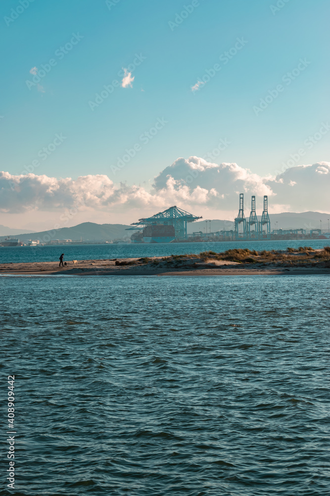 A vessel doing cargo operations in Algeciras port,  we  also can see a person walking by the beach with their dogs.