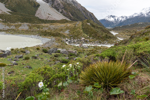 The Hooker River as it leaves the glacial Hooker Lake in Aoraki/Mount Cook National Park, Canterbury, New Zealand. Flowering Mount Cook lilies, or buttercups, in the foreground. photo