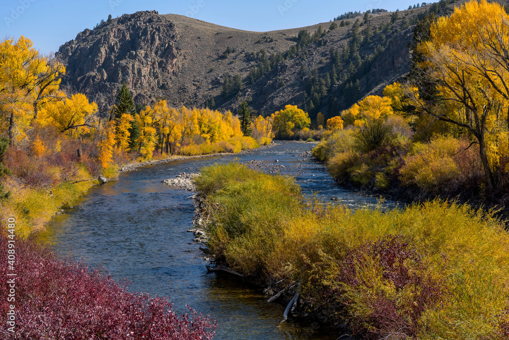 Autumn at Gunnison River - A panoramic overview of winding Gunnison River at south of Almont, where Taylor and East Rivers meet to form Gunnison River, on a sunny Autumn morning. Gunnison, CO, USA. Autumn at Gunnison River - A panoramic overview of winding Gunnison River at south of Almont, where Taylor and East Rivers meet to form Gunnison River, on a sunny Autumn morning. Gunnison, CO, USA.