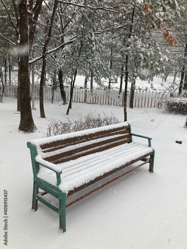 한국의 눈내리는 겨울, 눈꽃