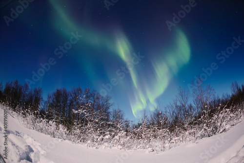 Polar Lights over the Kola Peninsula (ID: 408916005)