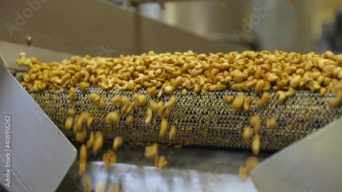 Anacardos cashew nuts peeled full falling close up 