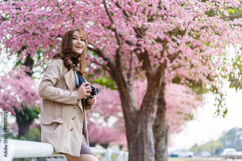 woman traveler looking cherry blossoms or sakura flower blooming and holding camera to take a photo in the park