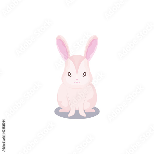 pet, cute rabbit animal domestic white background