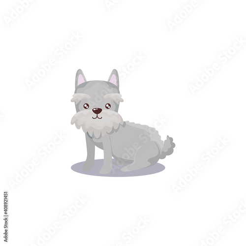 pet, schnauzer dog animal domestic white background