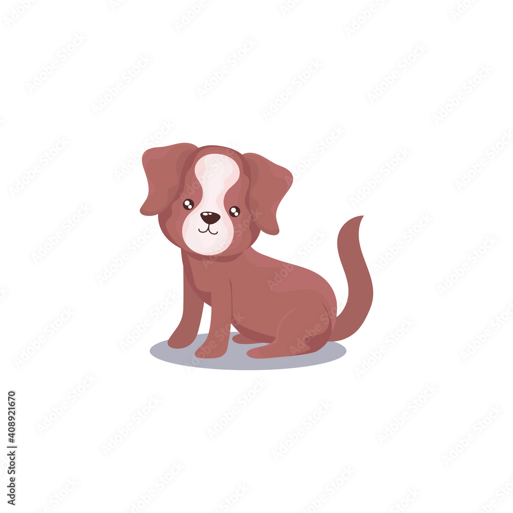 Obraz premium pet, brown dog animal domestic white background