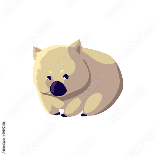 wombat portrait of wild australian animal, isolated on white background