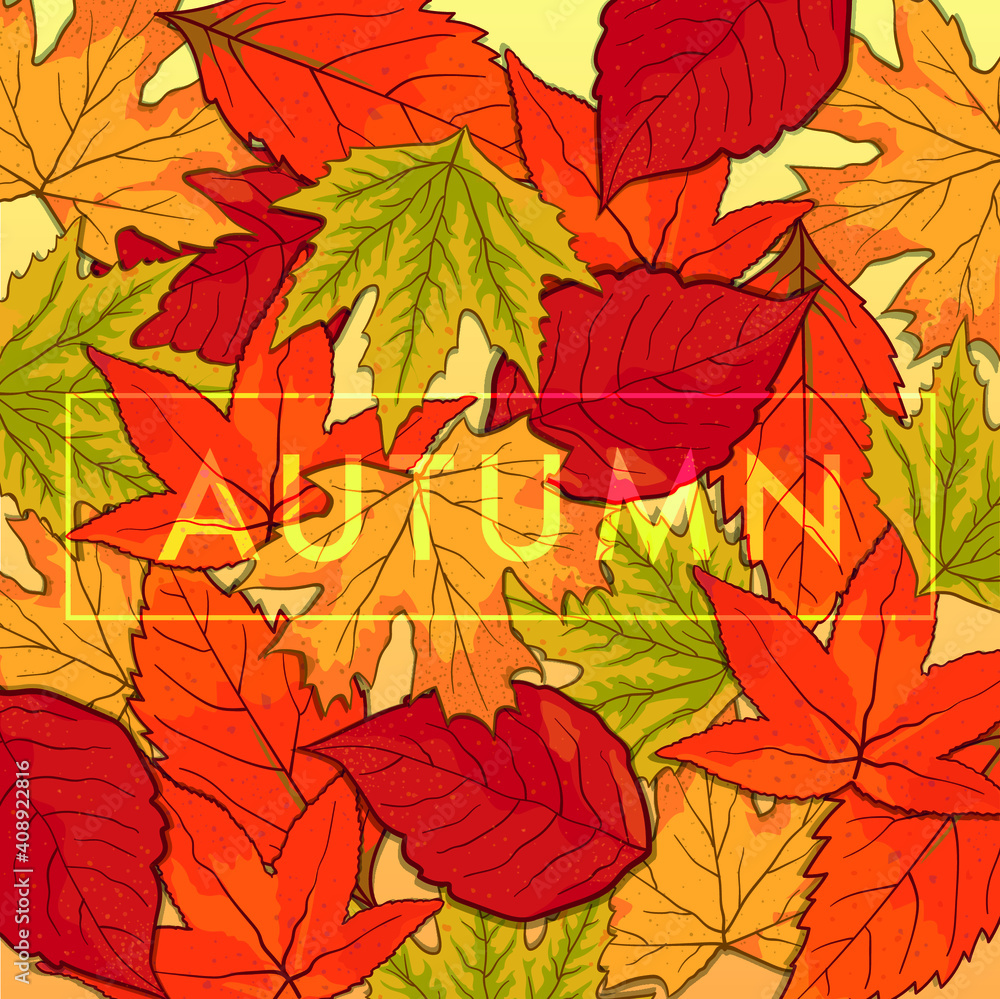 Beautiful autumn leaves with different colors.